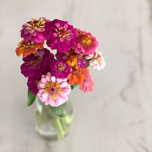 Meet your Posher, Meredith